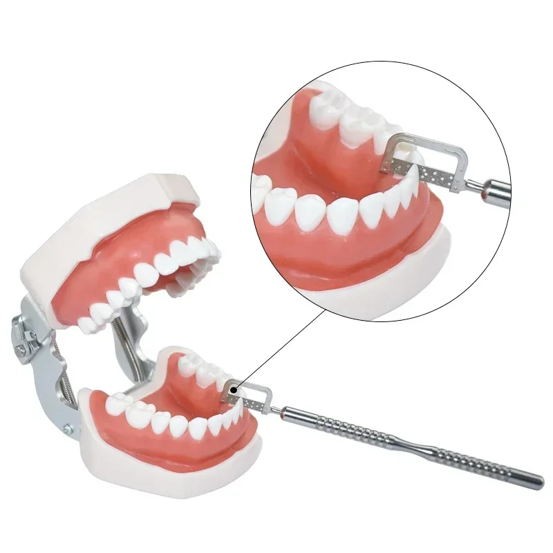 

Kit Dental Interproximal Enamel Reduction Double Sided with Handle for Use As A Saw Opening Contacts Dentistry Polishing Set