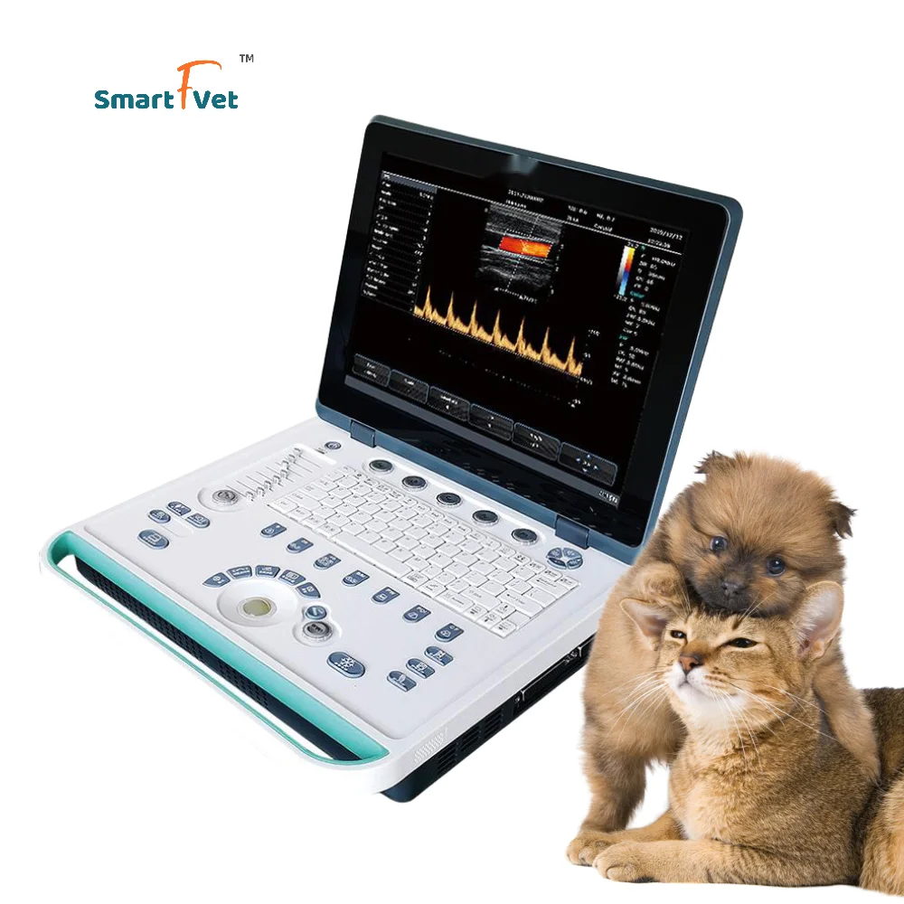 Smart Color Doppler Portable Ultrasonic Machine Laptop Veterinary Ultrasound Scanner C5Pro