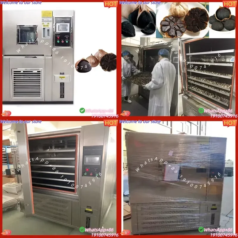 CE Certificate Automatic Commercial Industry Organic Fresh Garlic Making Machine Price Black Garlic Fermenter