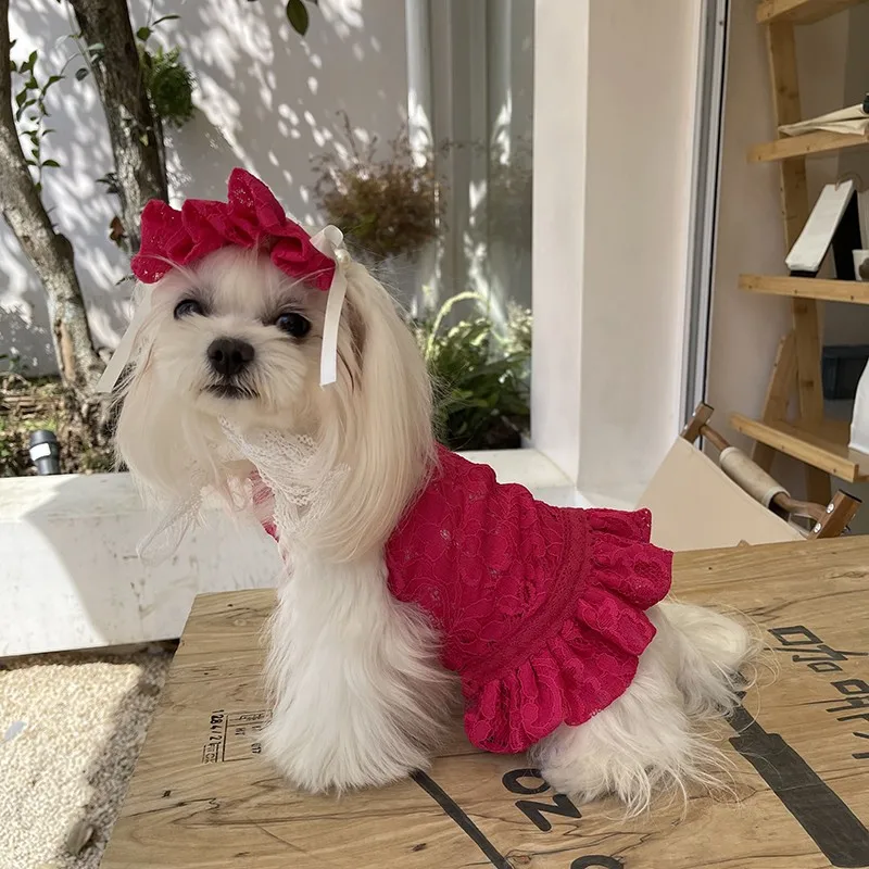 Handmade Dog Clothe Pet Supplies Soft Lace Sexy Camisole Summer Sun Protection Vest Tanks Outwear Daily Party Holiday Maltese