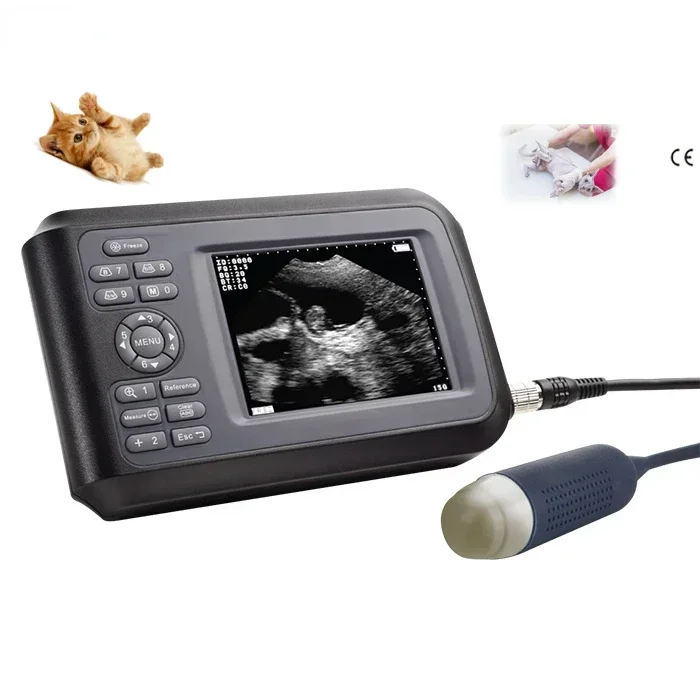 

Sunbright Small Portable Vet Animal Handheld Digital Ultrasound Diagnosis Equipment Convenient Easy Operation