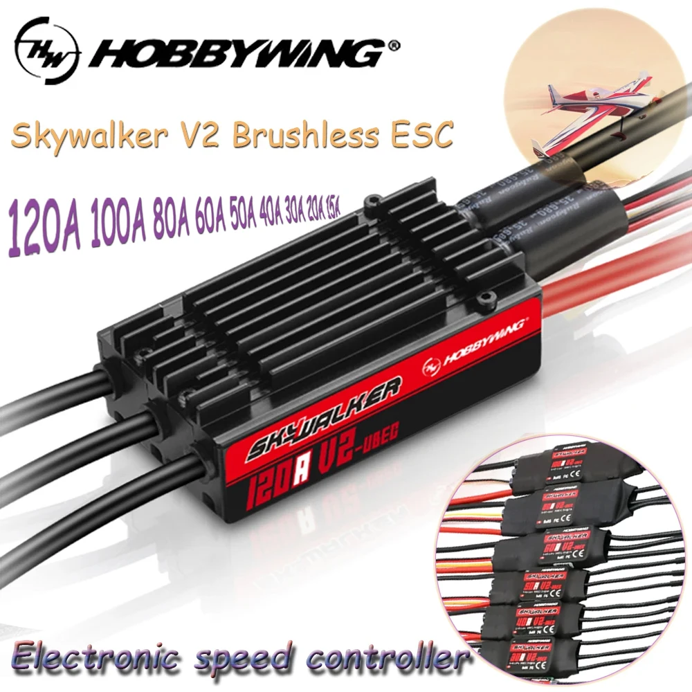Hobbywing Skywalker…