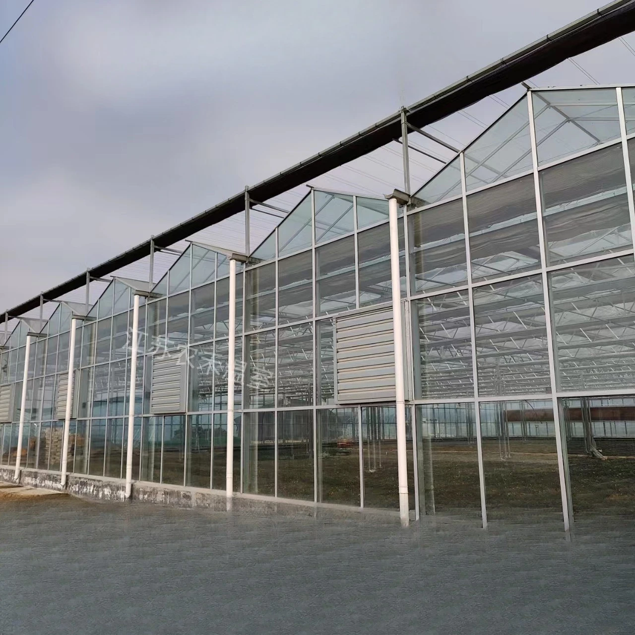 2025 وصول جديد الزجاج الجاهز تصميم البيت الأخضر لوحة طاقة شمسية متعددة المراحل الدفيئة للمشروعات الزراعية
