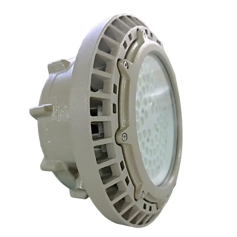 30W 300W IP66 LED Explosion Proof Light for Underground Coal Mine Industrial Hazardous Area Lighting Fixture High Brightness
