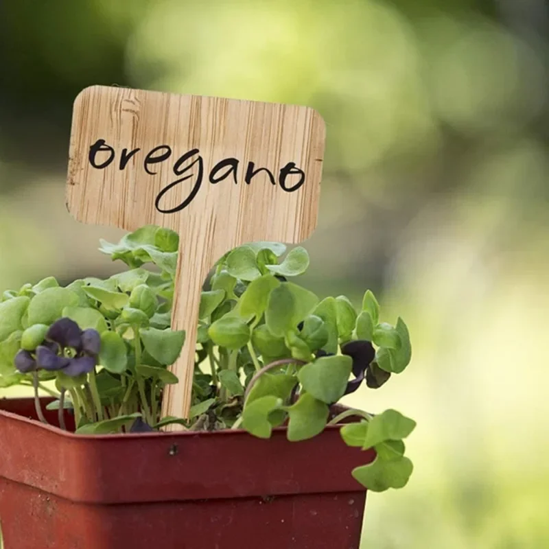Hot Sale T-Type Wooded Plant Labels Eco-Friendly Garden Bamboo Tags For Seed Potted Herbs Flowers Vegetables Waterproof Signs