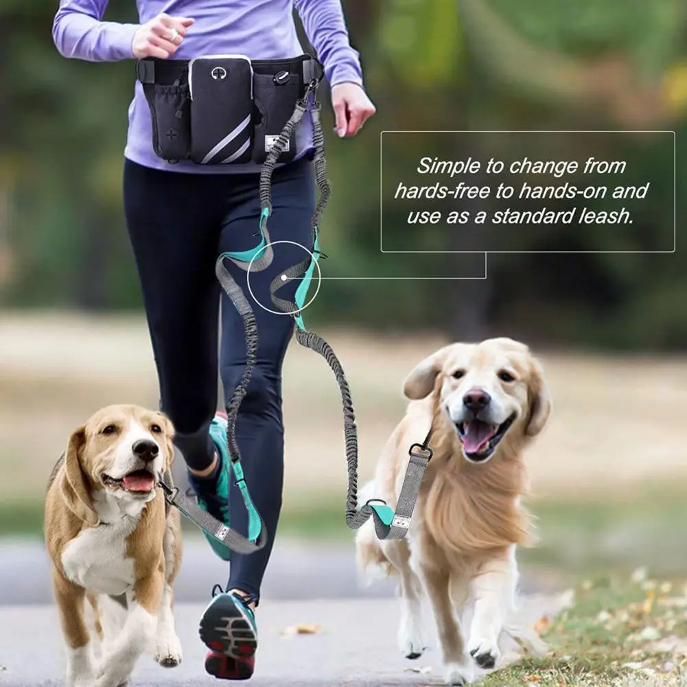 Pet Dog Cat Running Jogging Padded Waist Belt Reflective Strip Elastic Leash Perfect Walking Training Dog Leash Set Hands Free