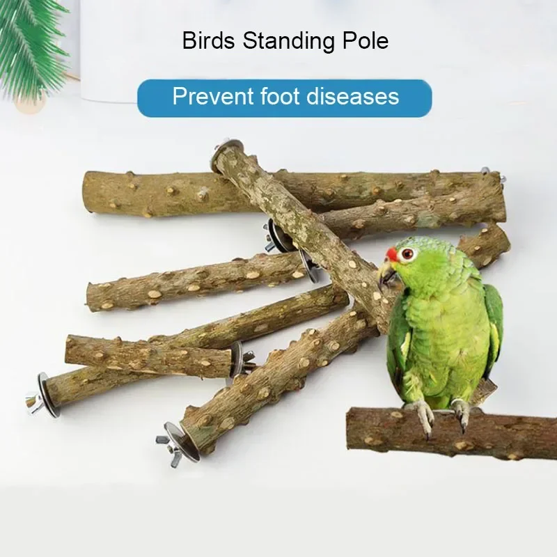 Spiky Natural Wood Pet Parrot Raw Wood Fork Tree Branch Stand Rack Squirrel Bird Hamster Branch Perches Chewing Bite Toys Stick