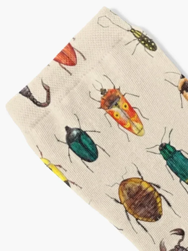 Further Entomology Studies Socks christmas stocking Toe sports Wholesale Boy Child Socks Women's