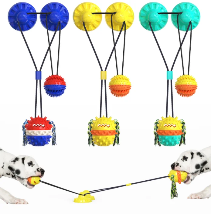 Jouets à mâcher actifs pour chiens, jouets interactifs à mâcher pour chiens, dents dures, grincement, mordre, jouets grinçants, livres de dents