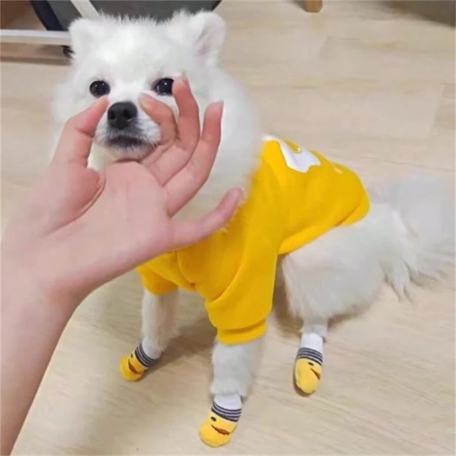 1 Set Pet Socks,  Teddy Dog Cotton Socks, Pet Supplies High-quality Anti Slip Bottom, Small Dog Socks, Dog Foot Covers