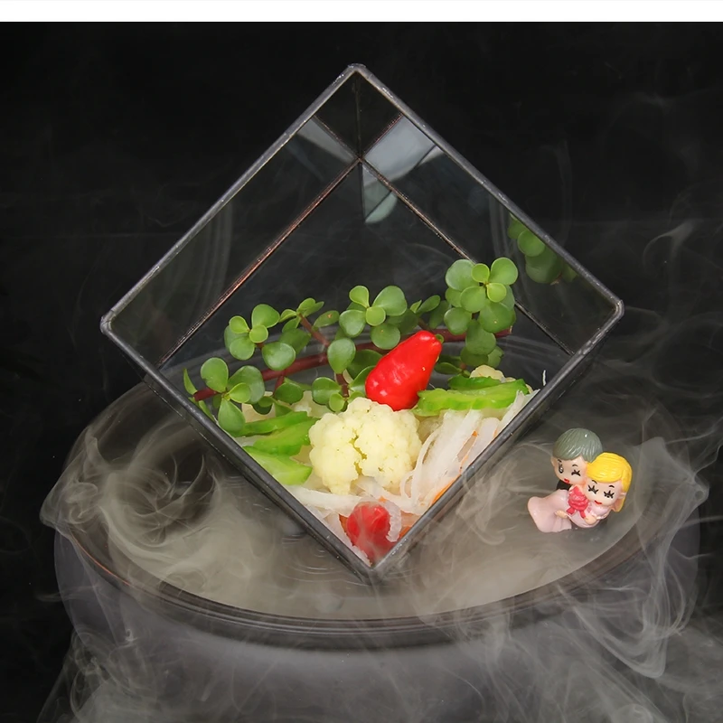 molecular cuisine artistic conception dishes glass plates dry platters trays