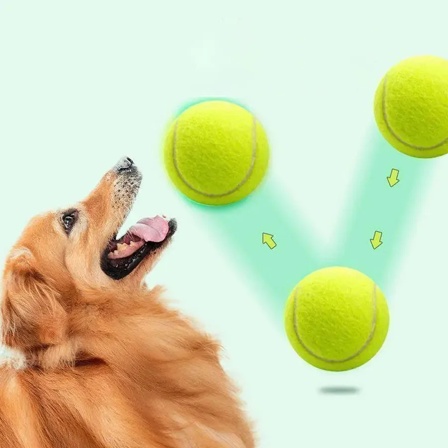 10pcs/Dog toy ball self congratulatory tool pet border collie golden hair Keji anti biting ball training molars tennis