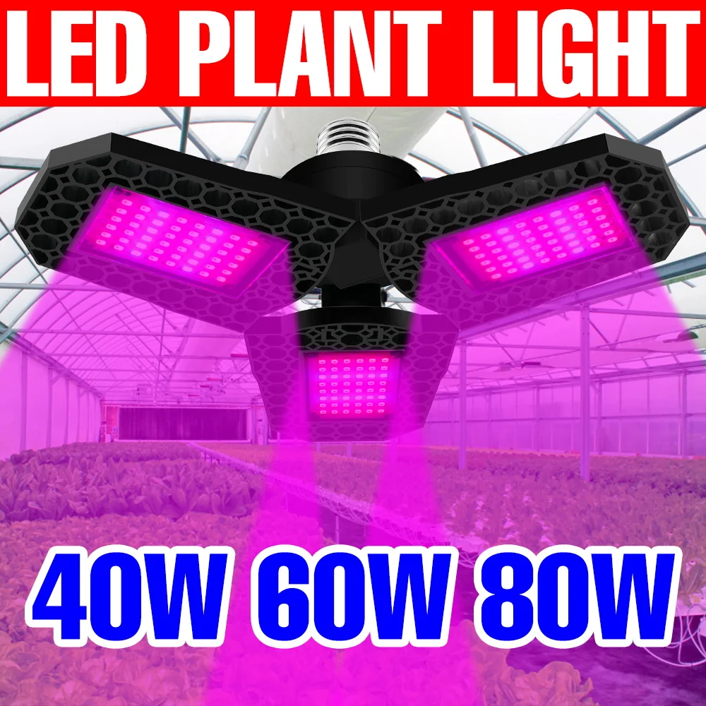 

80W LED E27/E26 Grow Lights Full Spectrum Phyto Hydroponic Fill Lamp Plant Greenhouse Tent Flower Vegetable Cultivation Lighting