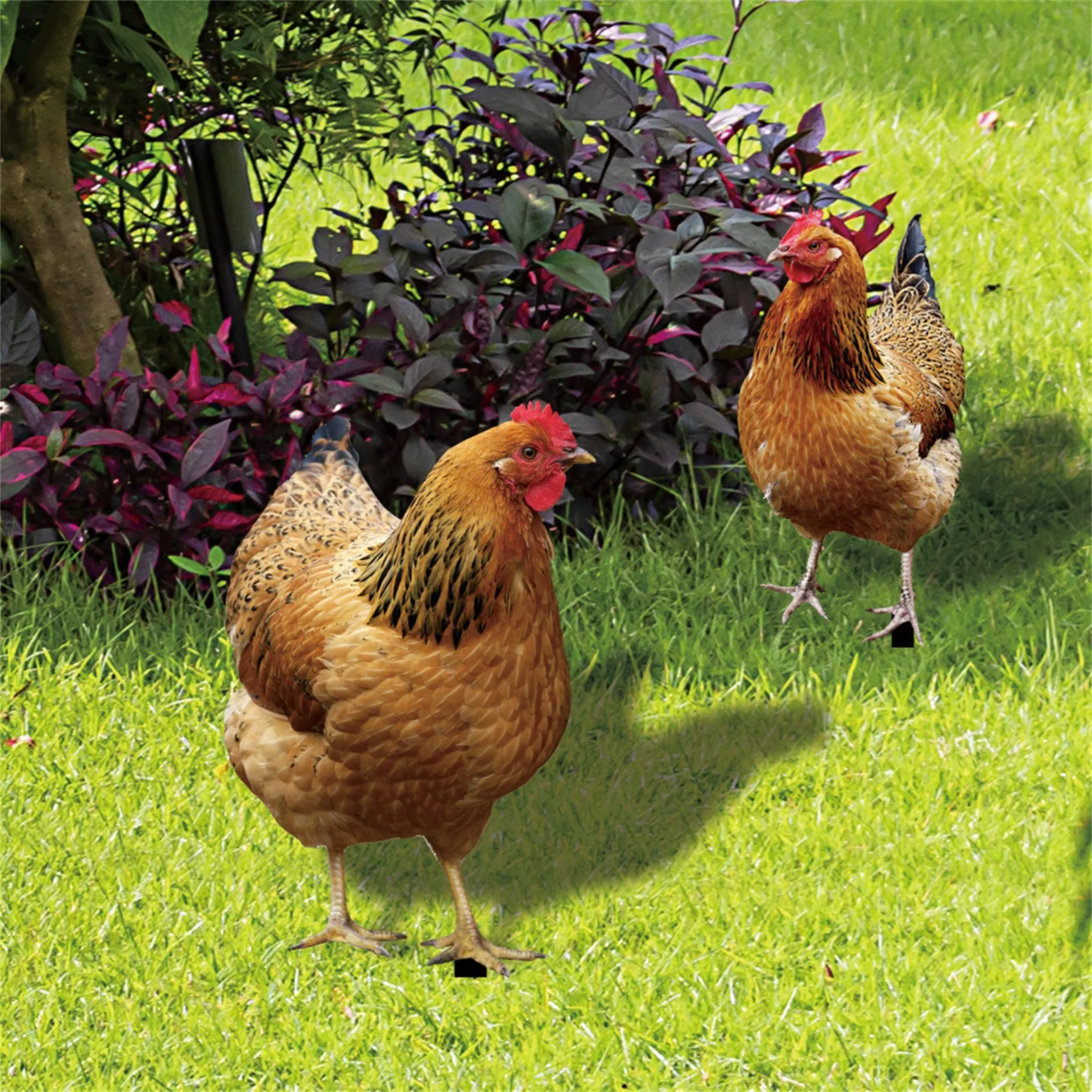 

Realistic Chicken Statues Acrylic Rooster Animals Stakes Animals Sculptures Decor Chicken Ornaments Yard Art Decor For Backyard