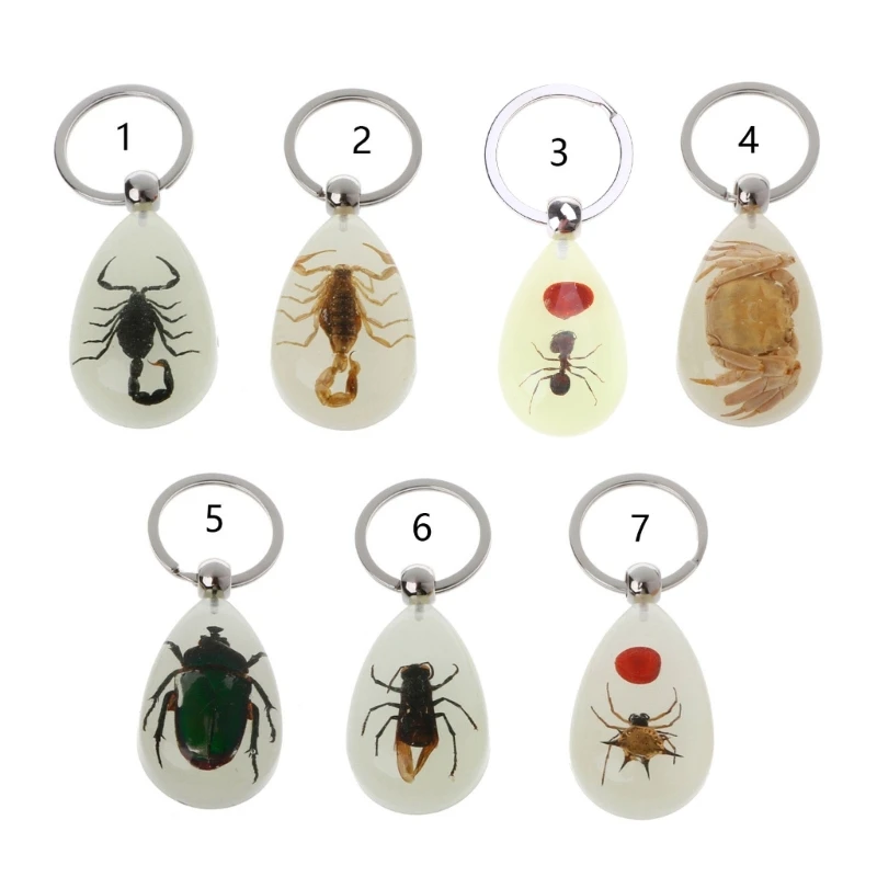 Luminous Amber Insect Keychain Black Resin for Key Ring Glow in the Dark Pendants with Insect Sample Inside