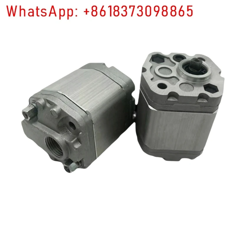 Pompa dell'olio idraulico RGP-F113 RGP-F118 Pompa a ingranaggi idraulica RGP-F106/F116/F180/F121