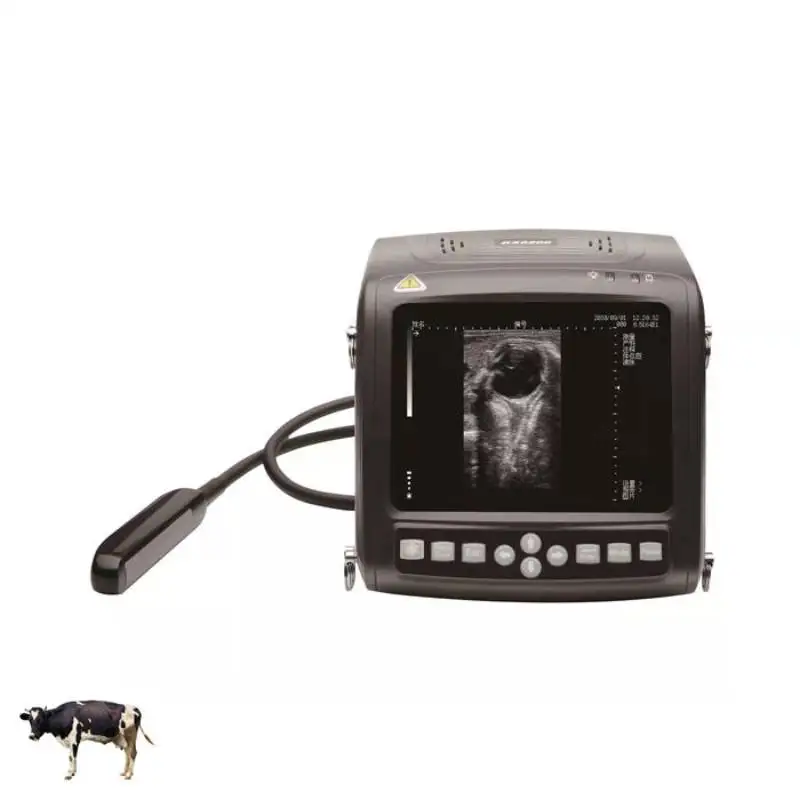 Veterinary Scanning… - image