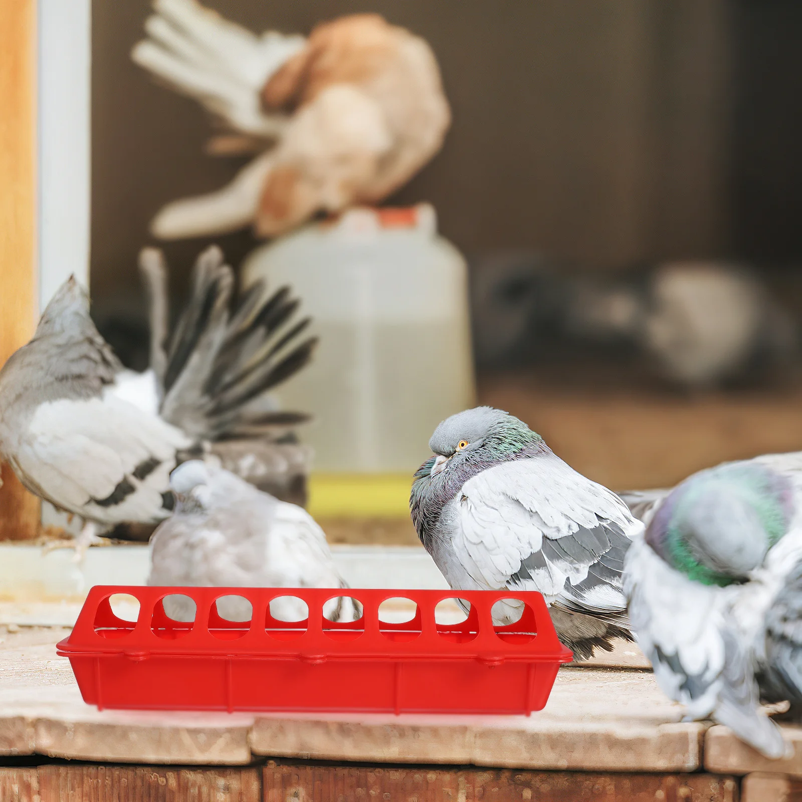 

2Pcs Pigeon Cage Food Trough Red Anti-Splash Design Durable Plastic Bird Feeding Box Suitable for Budgie Parrot Cockatiel