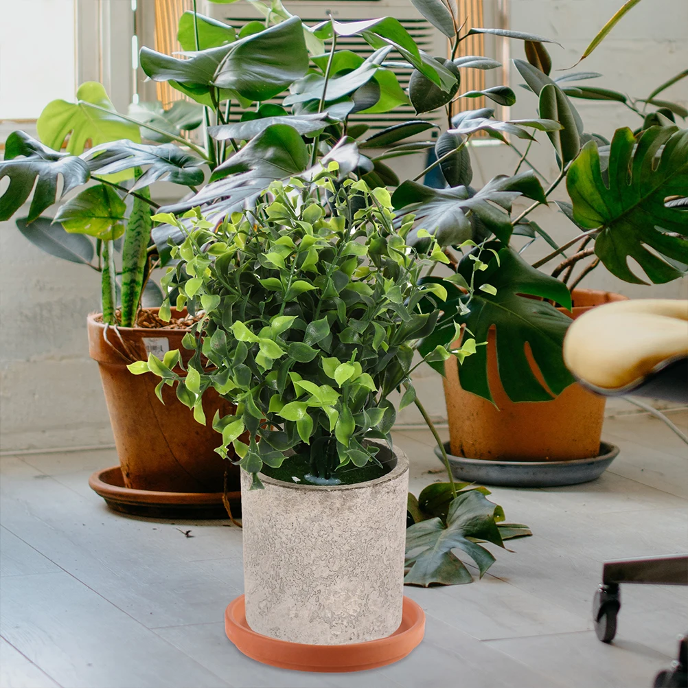 

5Pcs Planter Tray Set for Flower Pots Indoor Outdoor Gardening Pot Saucers for Plants Spill Proof Design Floor Protector