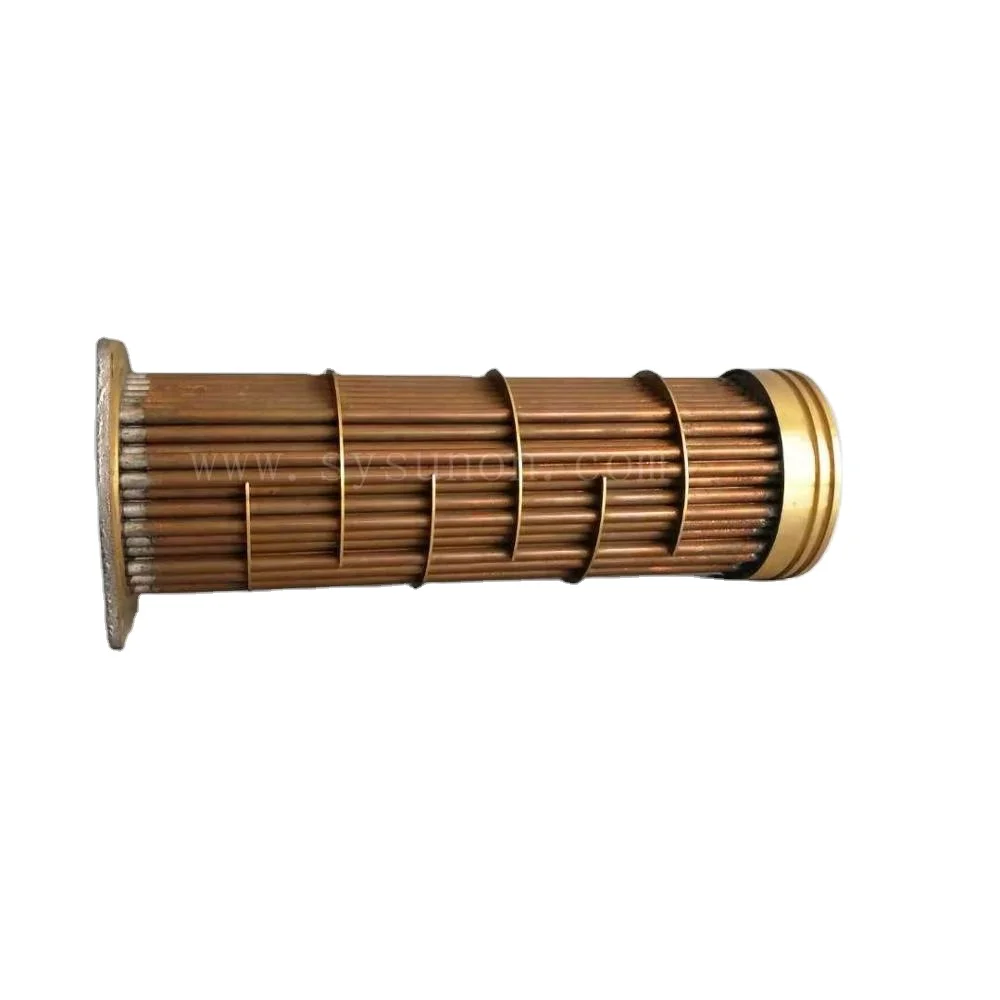

China High Quality Truck Parts Diesel Engine Parts 5001859136 Oil Cooler Core