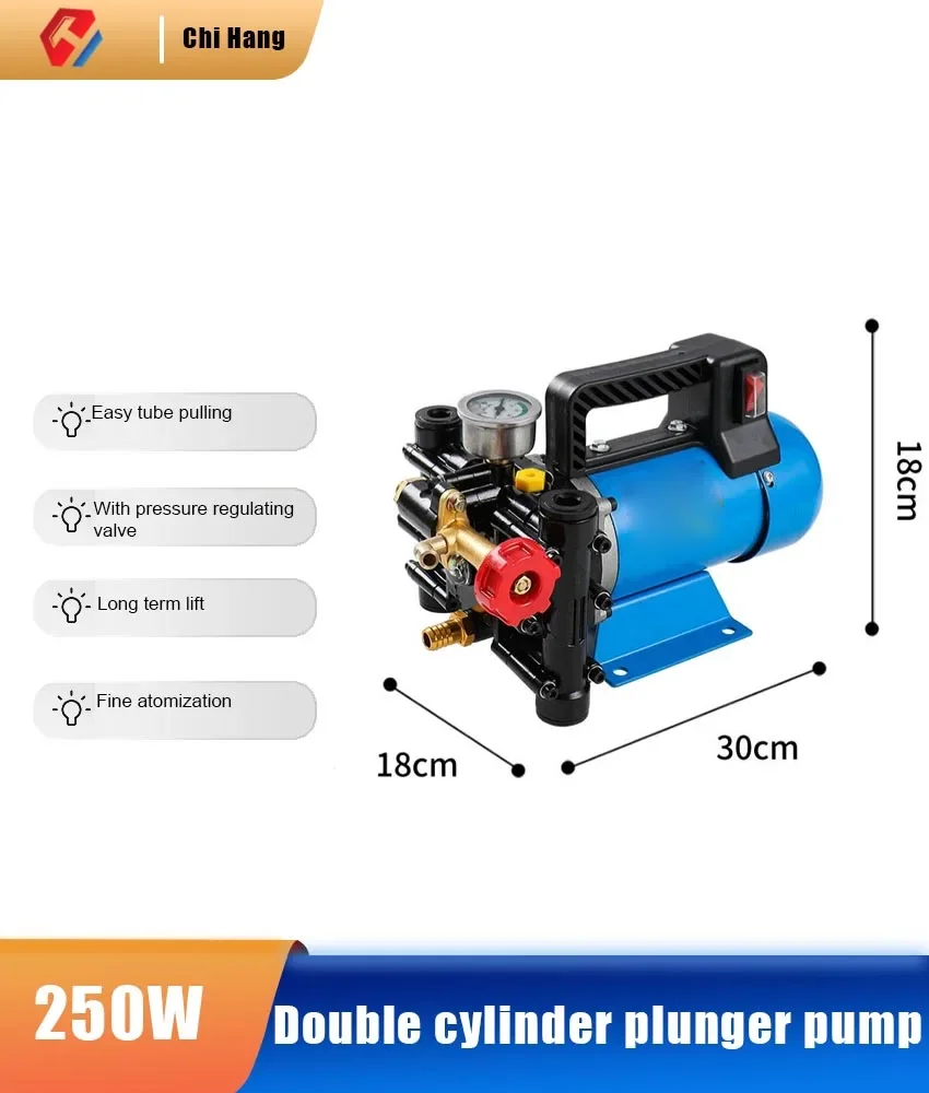 Spruzzatore portatile Spruzzatore elettrico agricolo per alberi da frutto 12V48V60V220V Pompa a stantuffo a doppio cilindro ad alta pressione