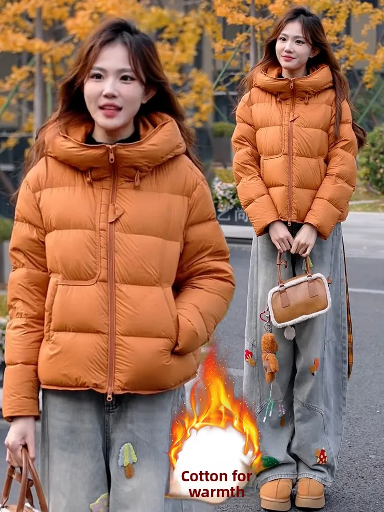 

High-End Premium Hooded ort down Cotton Jaet Women's Thiened Winter New Sle Small Fraance Sle Cotton Coat