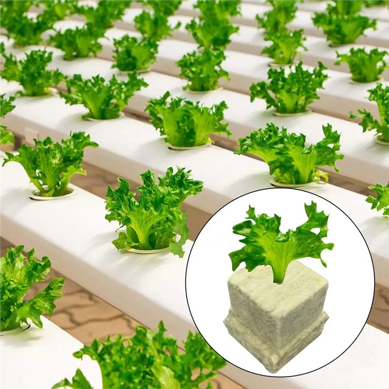 B23B 100Pcs Stonewool Hydroponic Grow Media Starter Cubes Plant Cubes Soilless Substrate Seeded Rock Wool Plug Seedling Block
