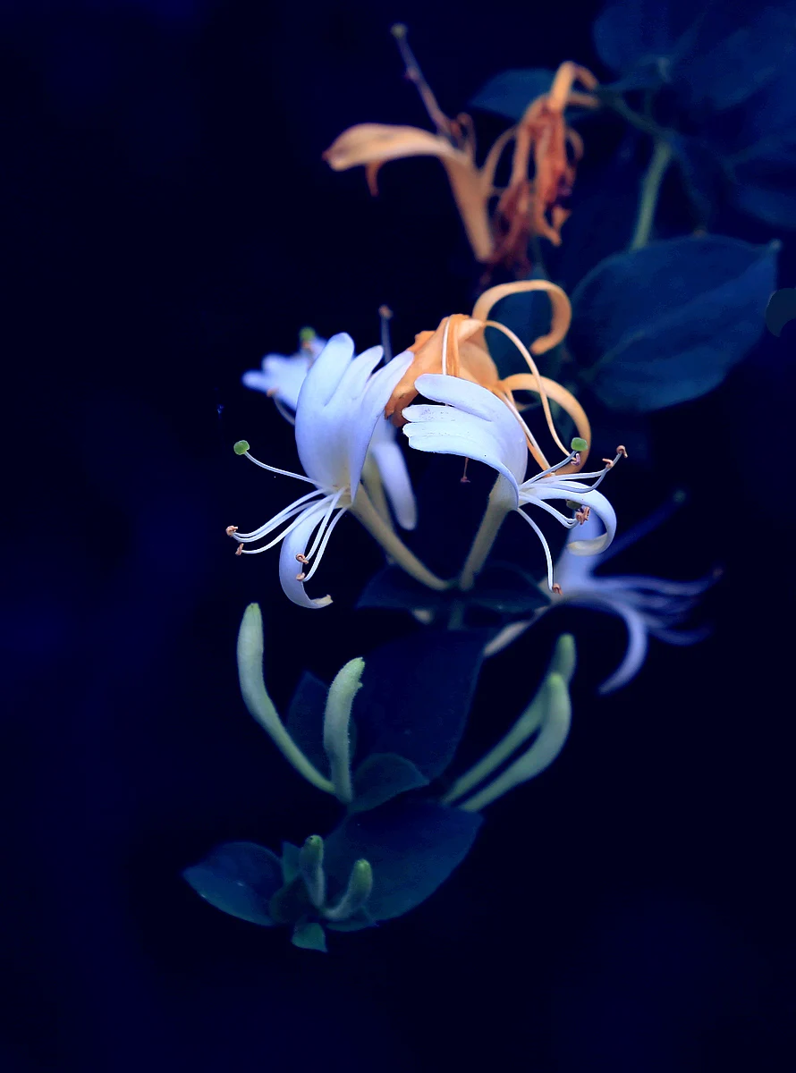 

Дифференциальная передача RC HSP 02030 03015 02024 для 1/10 HSP 94103 94123 94107 94111, запчасти для шоссейных автомобилей и багги