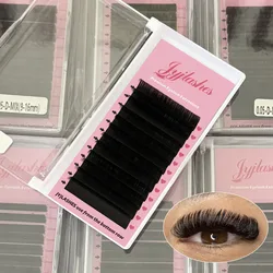 12rows Faux Mink Individual Eyelashes Maquiagem Classic Lashes Extensions Trays Cilios False Eyelash Extension Supplies All Size