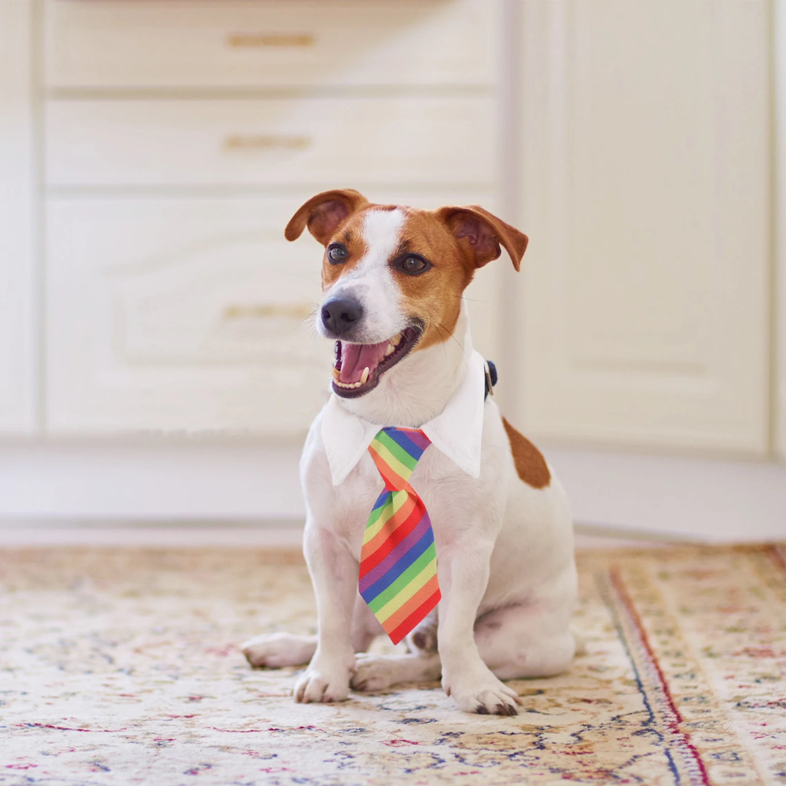 

Adjustable Rainbow Necktie Collar Dog Bib Costume Scarf Soft Comfortable Puppy Gentleman Outfit Decorative Pet Costume Accessory