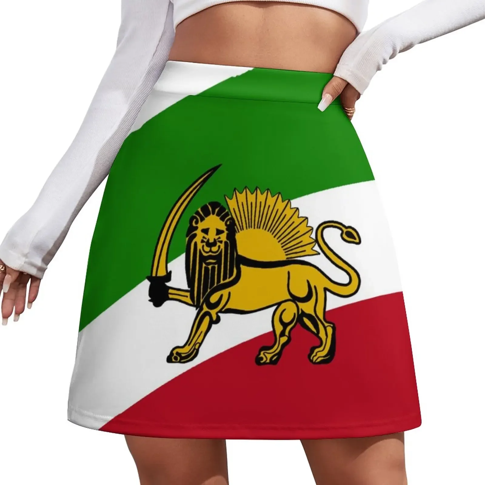 Iran flag with lion tshirt Mini Skirt skirts for womens dress fashion korean clothing