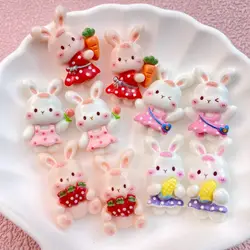 10 Pcs New Cute Cartoon Little Flower Skirt Rabbit Flat Back Resin Scrapbooking DIY Jewelry Hairpin Craft Decoration Accessorie