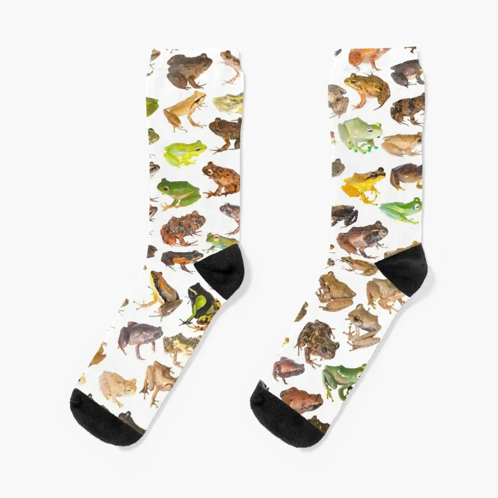 

101 Frogs of Madagascar, First Edition Socks sports stockings Soccer winter gifts Women's Socks Men's