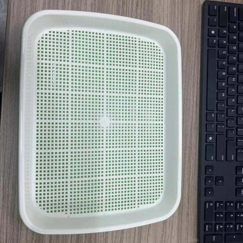 Top Quality Soilless Seed Germination Tray for Garden Seedling Planting and Growth Vegetable Bean Sprout Growing Tool