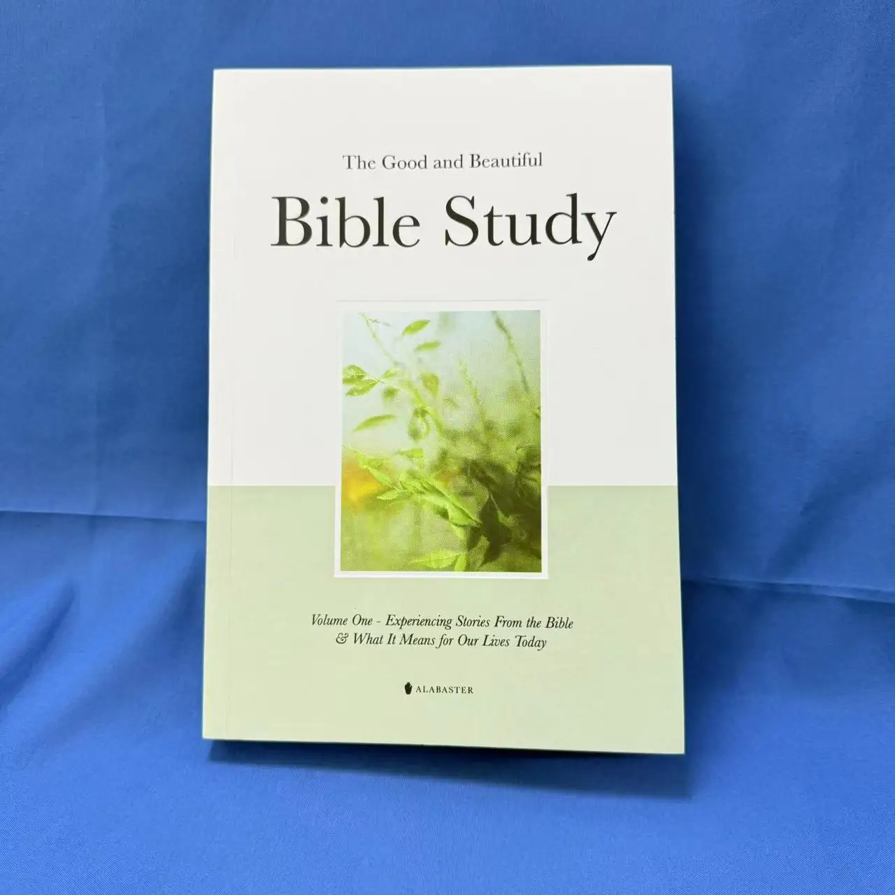 

A Beautiful Year In The Bible: A 52 Weeks Bible Study For Women Bible Study Guide With Suggested Reading Biblical Work Paperback