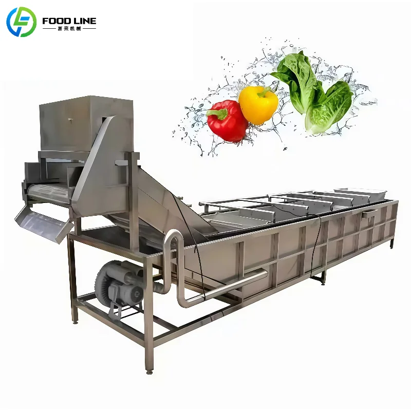 Customized Factory Supply Air Bubble Washing Machine Small Scale Pepper Fruits Cleaning Drying Sorting Machinery for Sale
