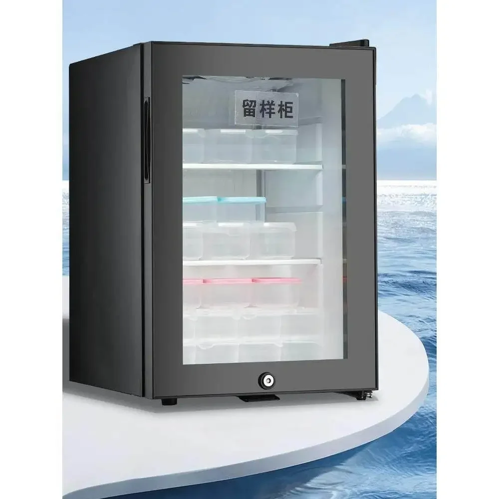 cooked food sample display cabinet with lock, special energy-saving refrigerator for small school canteen, commercial use