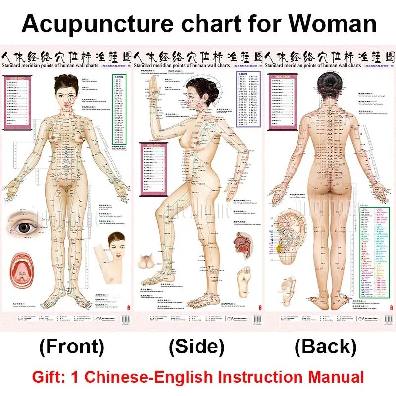 Standard Meridian Acupuncture Points Chart and  ZhenJiu Moxibustion Acupoint Massage Chart for Head Hand Foot Body Health Care