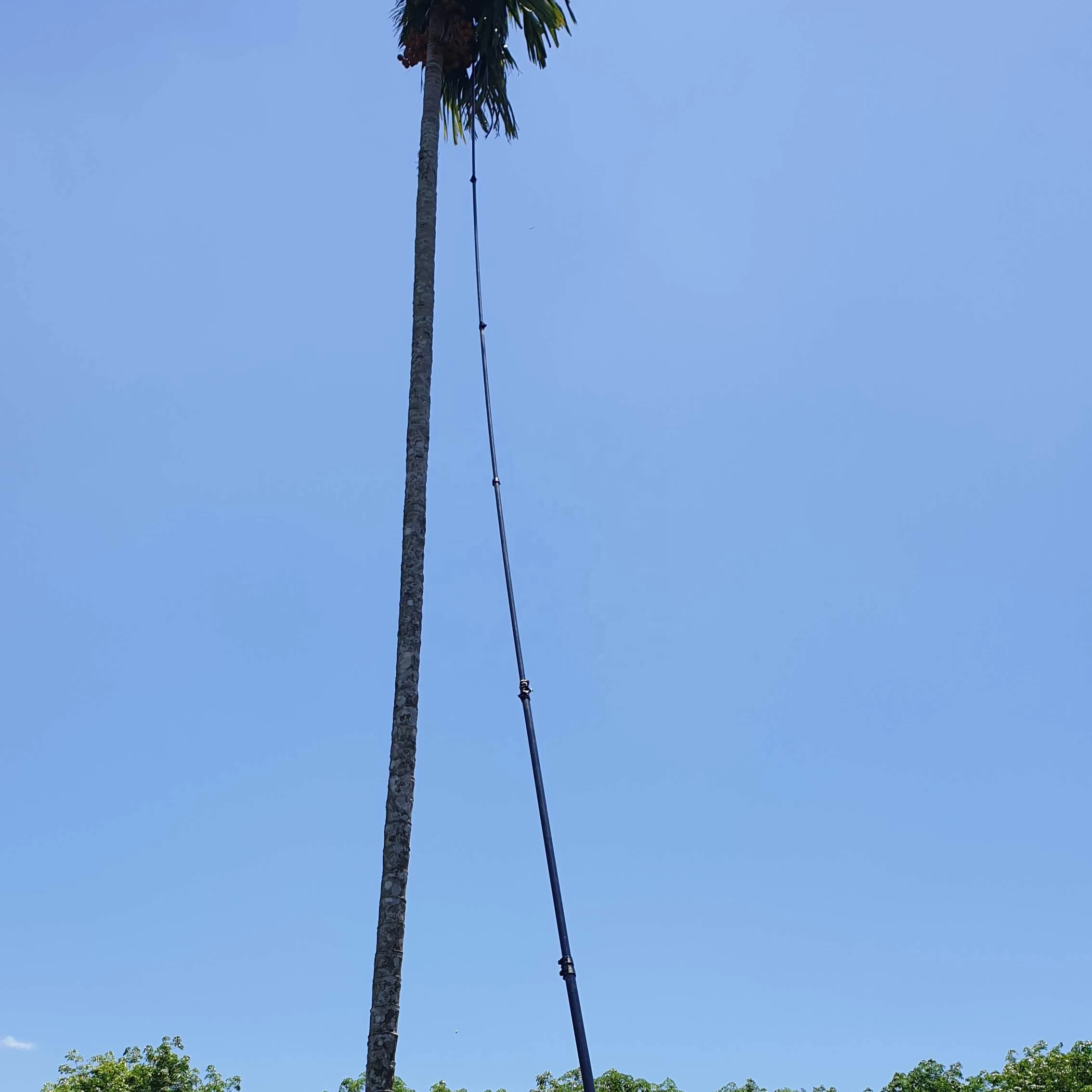 15 meters telescopic pole areca nut olive harvester wasp telescopic remover carbon fiber pole fruit picker