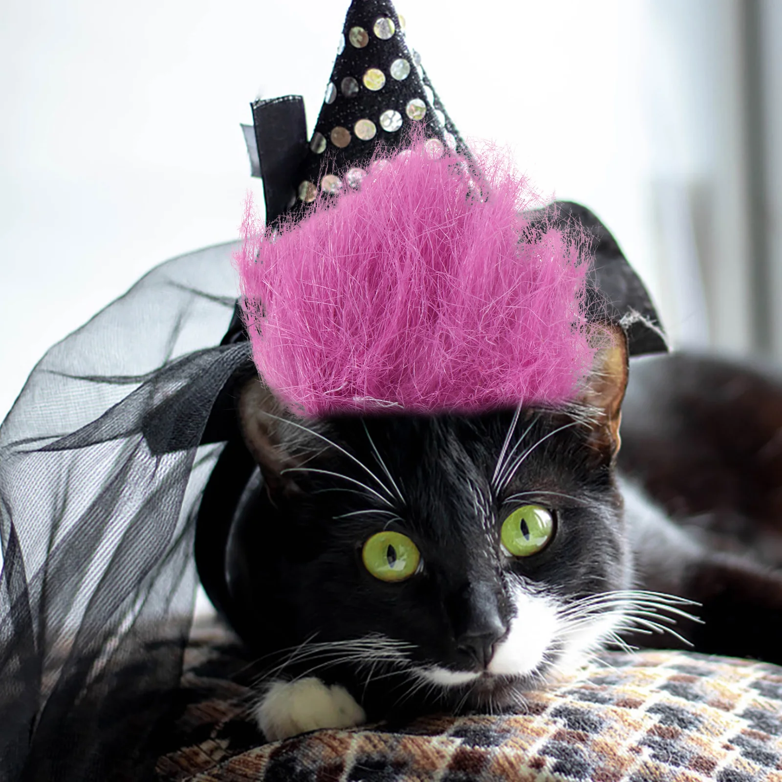 

Pet Elastic Strap Dog Cat Costume Accessories Small Pets Halloween Festival Pet Hair Decor Dog Cat Headwear