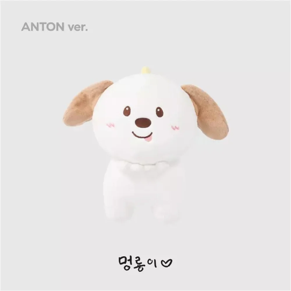 Kpop RIIZE Grand Doll Pillow Embroidered Plush Cartoon Toy SHOTARO EUNSEOK SUNGCHAN WONBIN SEUNGHAN SOHEE ANTON Fans Collections