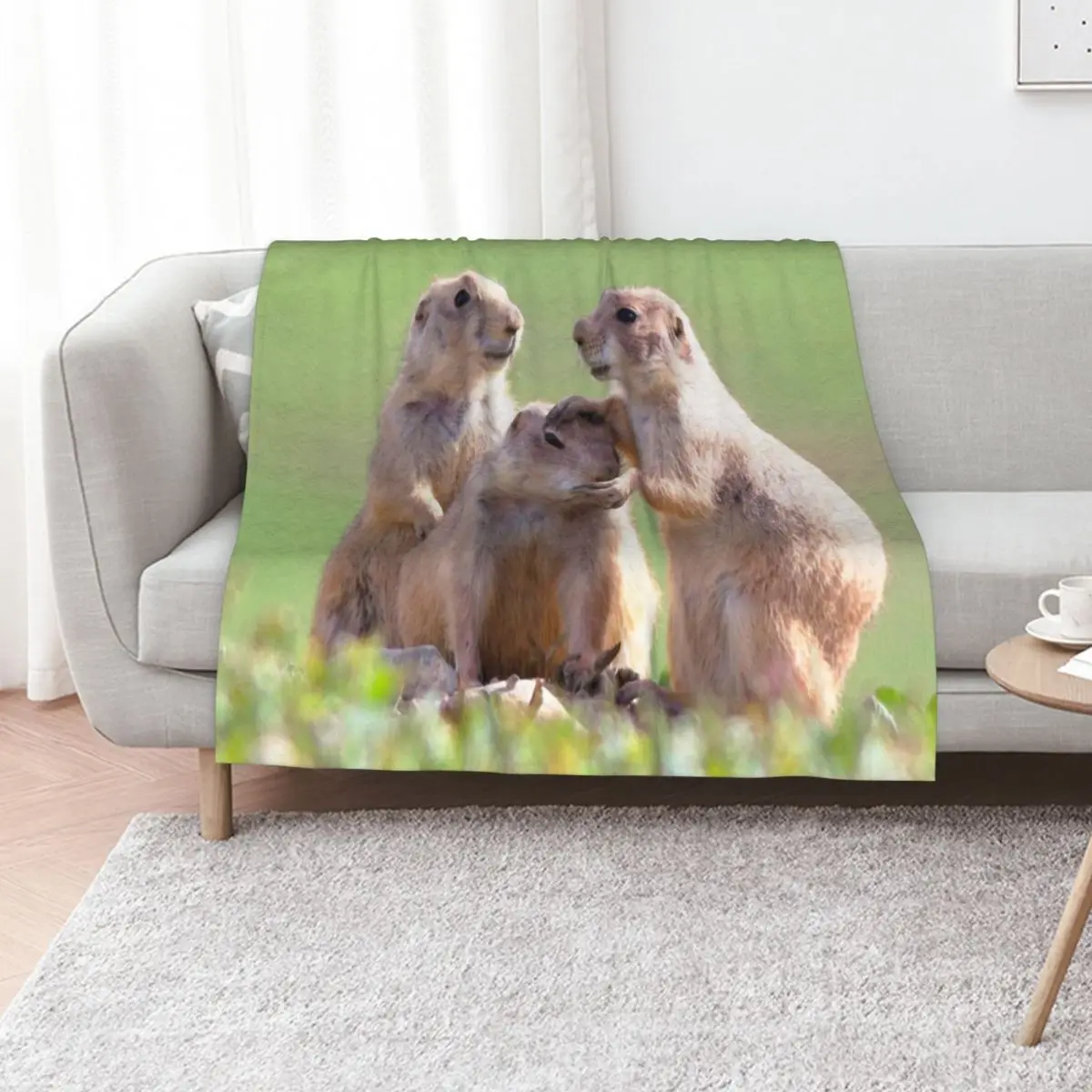 Watercolor Prarie Dog 08, Boulder County, Colorado, Good Job Throw Blanket Thin Flannels Kid'S Summer Beddings Blankets
