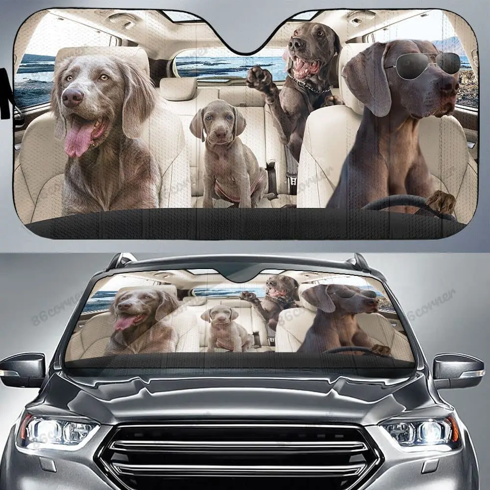 Weimaraner Family Driving Car Sunshade, Weimaraner Family Car Sunshade for Windshield, Weimaraner Dog Lovers Sunshade, Car Acces