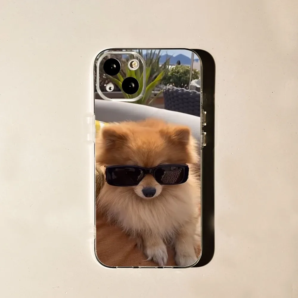 Cute Pomeranian Dogs Phone Case For iPhone 15,14,13,12,11 Plus,Pro,Max,XR,XS,X,7,8 Plus,SE,Mini Transparent Silicone Soft