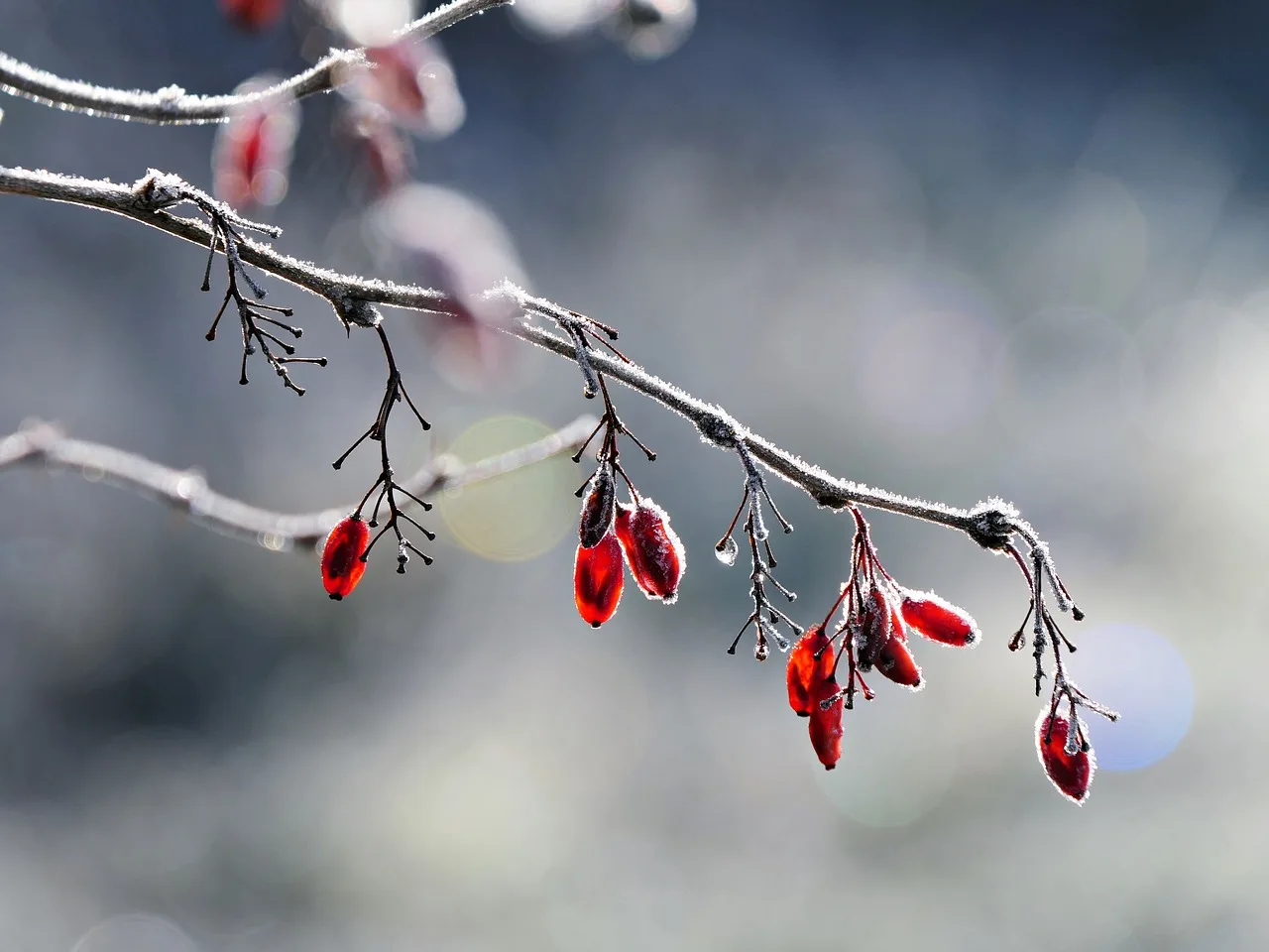 

4PCS 1/24 FMS Power WAGON FCX24 Wheel Hub Brass Counterweight RC Car Upgrade Parts