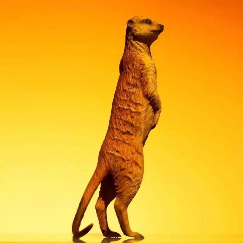 

Модель-компаньон для роста зоопарка 12, имитационная модель Mongoose Duo, игрушка, украшение для рабочего стола, милый подарок для детей, коллекционные предметы-сюрпризы