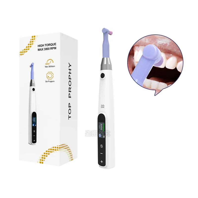 Dental Electric Polishing Motor Straight Prophy Handpiece Disposable Head 500-3000 Rpm/min Non-LED