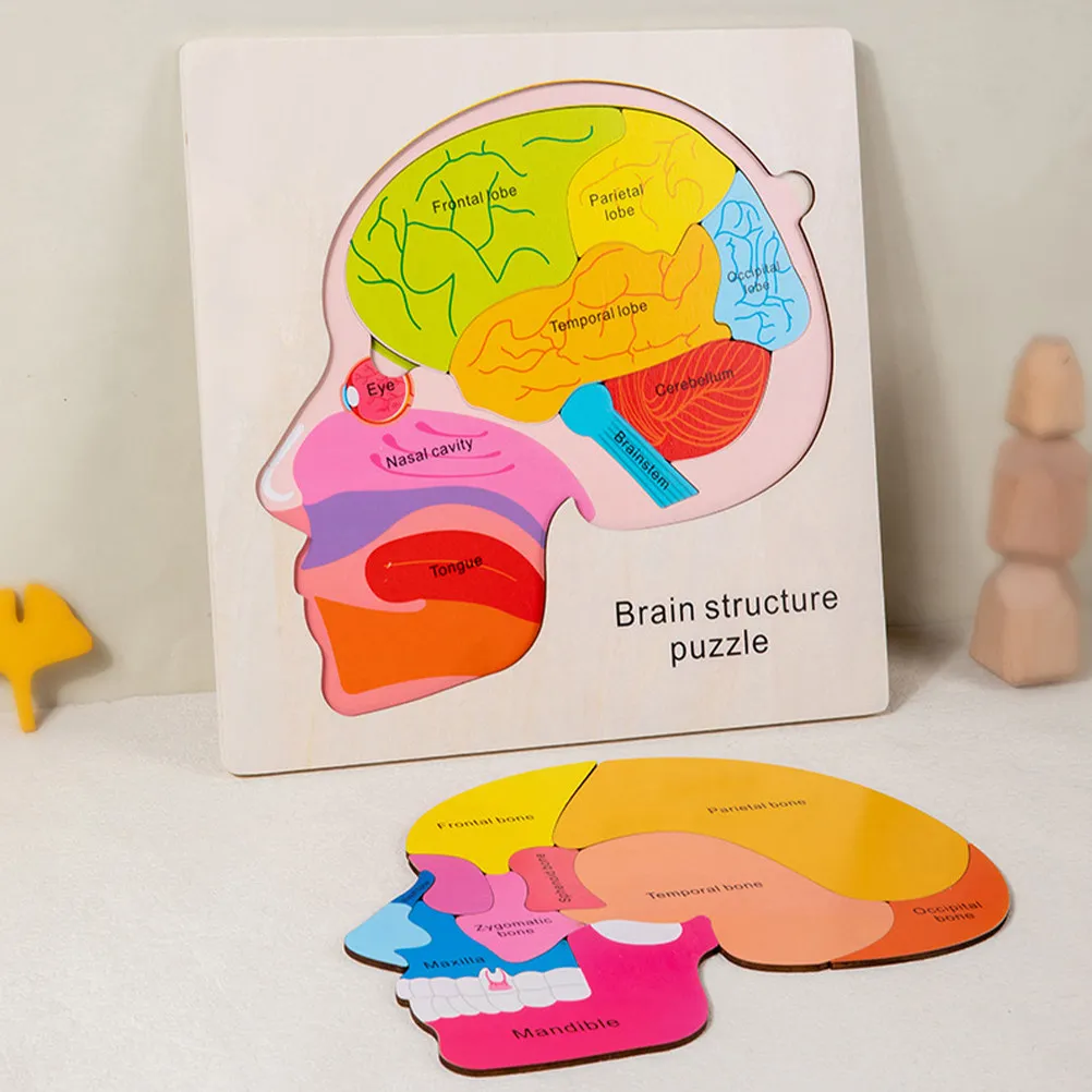 

1Set Brain Structure Puzzle Matching Wooden Brain Learning Educational Kids Gift Cognitive Development Wooden Brains Puzzles