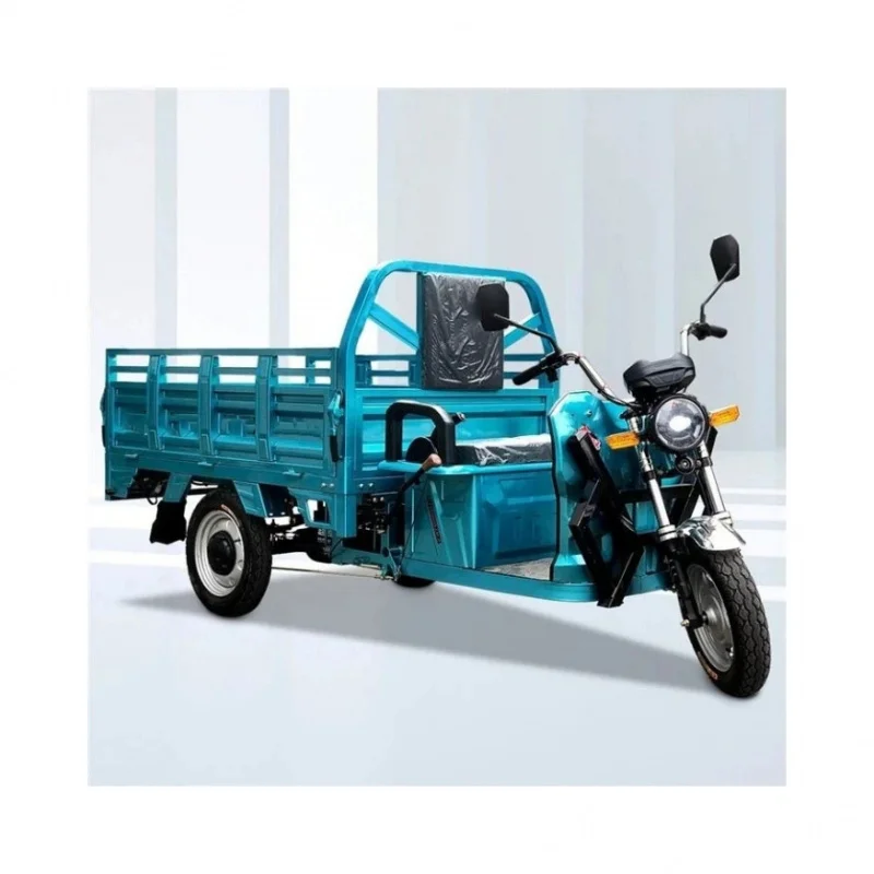 

Best Selling 1000W Cargo Tricycle with 2 Passengers 48V Motorized Three-Wheel Car Availle Open Closed Body Types Sale