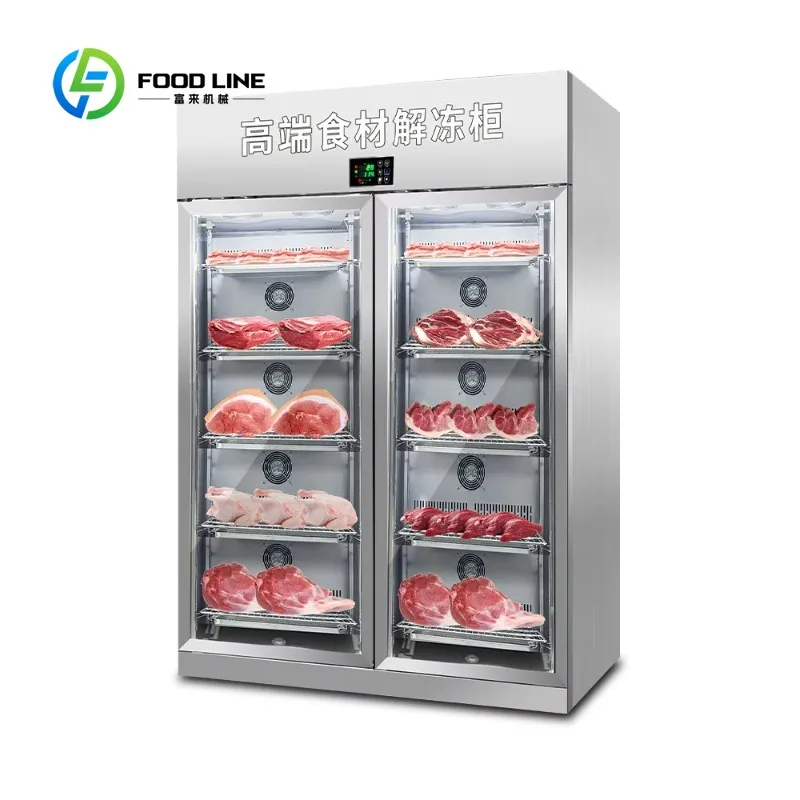 High Efficiency Fully Automatic Thawing Cabinet Commercial Defrosting Equipment for Beef Pork Seafood Processing customized
